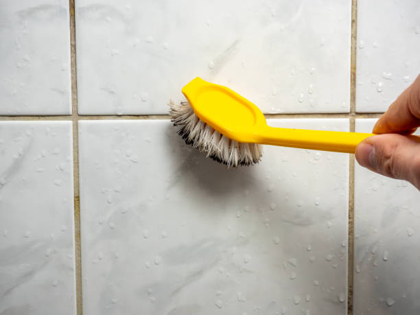 Best Attic Mold Removal  in Erath, LA