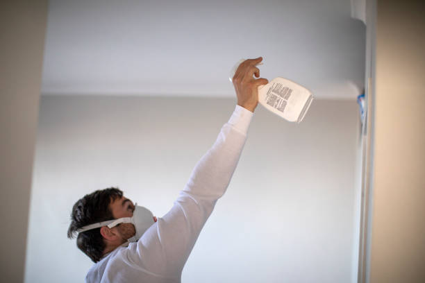 Best Mold Damage Repair  in Erath, LA