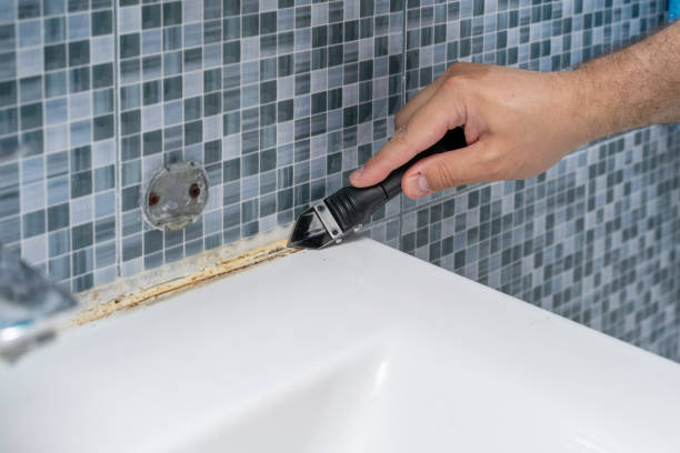 Best Residential Mold Removal  in Erath, LA