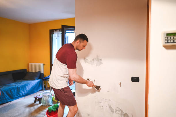 Trusted Erath, LA Mold Removal Experts